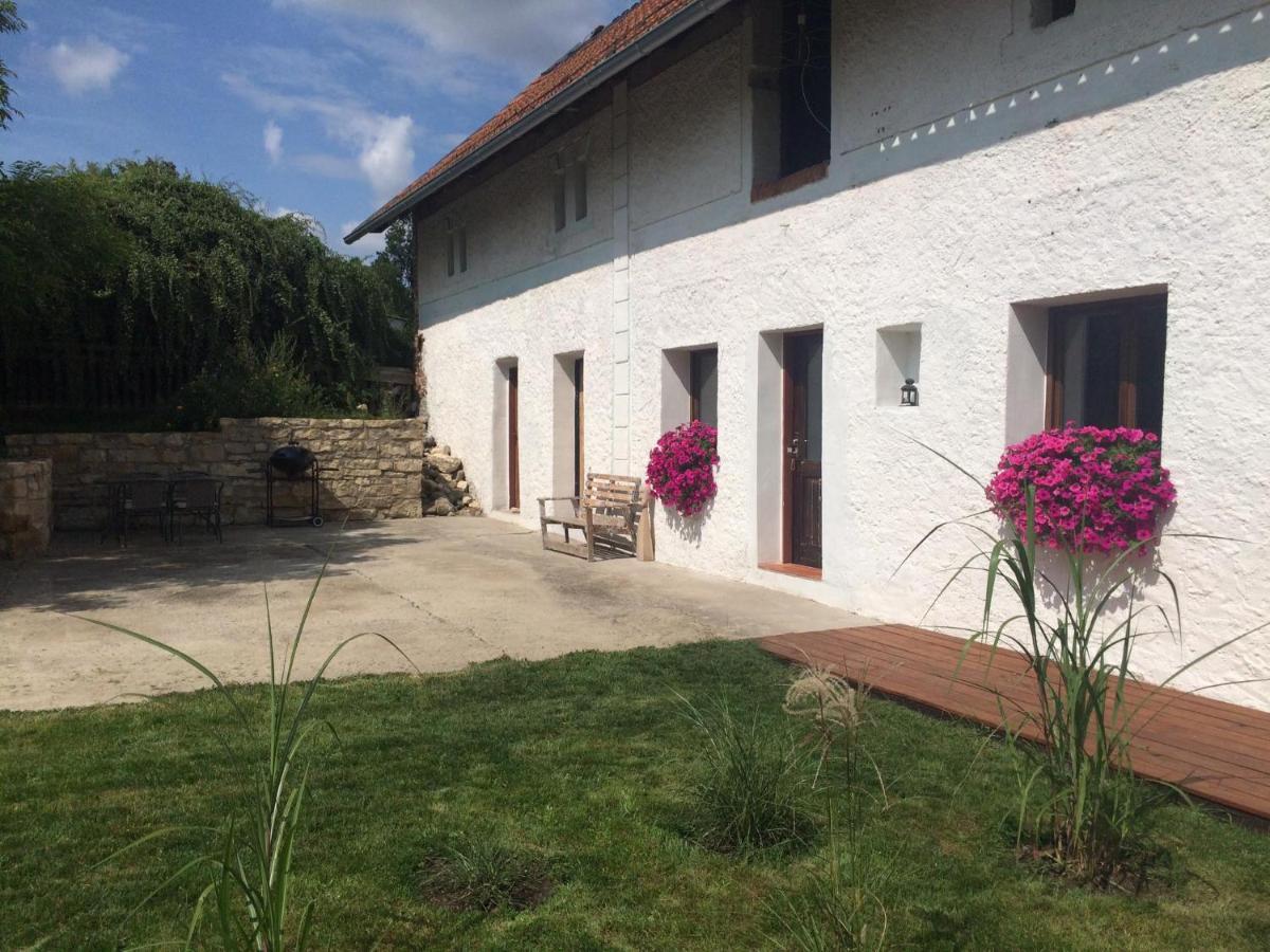 Apartman Zidovice Лоуни Экстерьер фото