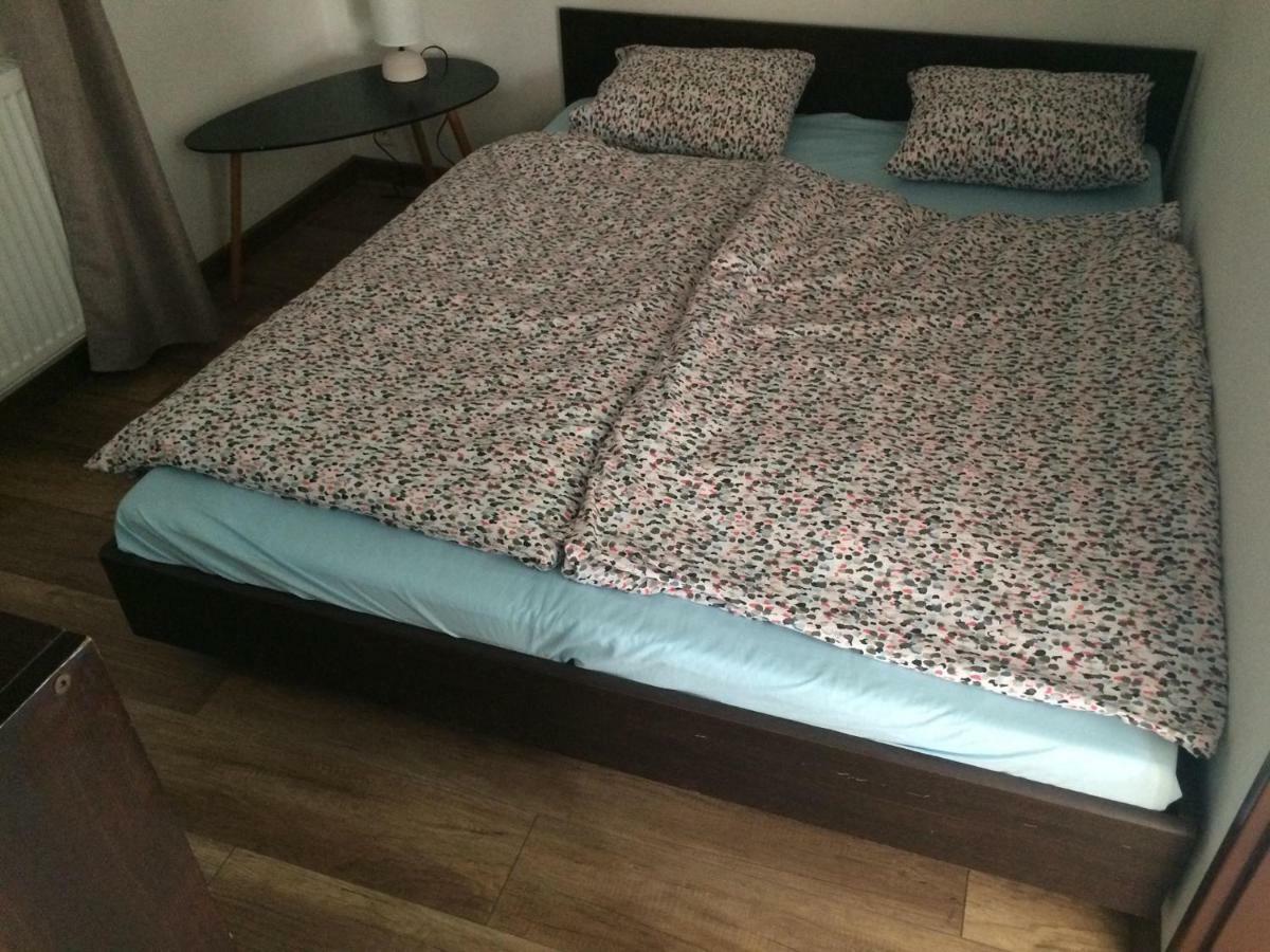 Apartman Zidovice Лоуни Экстерьер фото